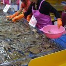 개인(박정자) 이미지