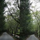 담락당 하립·삼의당 김씨 부부유지 | 대전 근교 진안 여행 마이산 탑사 / 진안 가볼만한 곳, 2024 진안 홍삼축제