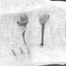 쥬만지동물의료센터 이미지