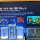 생명의 분출 이미지