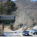 머물다636
