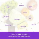 윤선생스마트랜드진주 네이버블로그