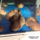 이어도복집 이미지