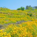 지세포로 이미지