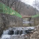 벌곡산속캠핑장