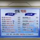 선도막회 | [안산/중앙역] 선도막회 (대광어 숙성 막회 맛집 솔직한 후기)
