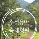 금촌유아숲체험원 | 도심 속 작은 숲놀이터, 수성 유아 숲체험원 후기