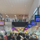 바다상회 | 노량진 수산시장 대하 가격, 숫꽃게 함평상회 바다회센타 내돈내산 솔직 후기