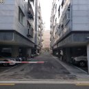 서울양강초등학교 이미지