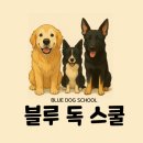 블루 독 스쿨 | 울산 애견 훈련 짖음과 입질 교정 후기