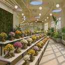 분재전시회 이미지