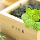 오일하우스 이미지