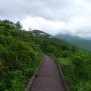 보현, 면봉산 이미지