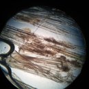 미사늘봄동물병원 이미지