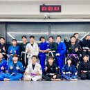 테크니카주짓수
