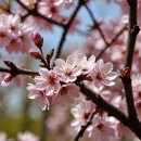 부산 혜남 학교 이미지