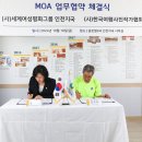 평화지국 이미지