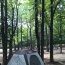 그늘막36 이미지