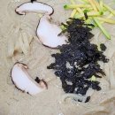 도르리칼국수묵밥