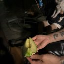 메리도그하우스 이미지