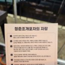 바닷가포차 이미지