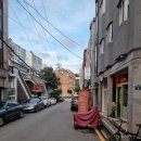 헝그리스패로 이미지