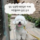 성수 뚝섬역 애견동반 카페 피킹플레져 솔직후기