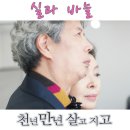 실과바늘 이미지