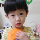 동화나라숲 어린이집 이미지