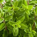 아로마스프레이 만들기 이미지