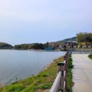 전원애견 티스토리