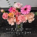 대전 꽃배달 가능한 감성 꽃집 추천 대전 둔산동 꽃집 '비올레뜨' 파스텔 꽃다발 후기