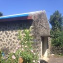 표선면하천리화석박물관 3 | 2017년9월27일 하천리