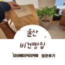 울산 비건빵집 모브베이커리 - NO 버터, 우유, 계란, 백설탕, 방부제