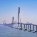 신안천사병원 세계일보