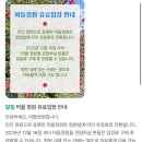 남원읍-34 | 제주도 겨울여행 가볼만한곳 동백꽃 이미졌을줄 알았던 머들정원 후기