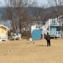 중뜰목장 네이버블로그