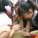 칠금초교 병설유치원 이미지