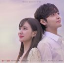 슈만음악교습소 이미지