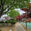 자산3길정자앞 (옥외1) | <여수 애견동반 식당> 봉산동 성산밥집 꽃게장정식 가성비 맛집