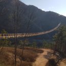 금산수삼센타 이미지