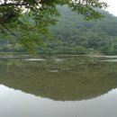 그린목장 이미지