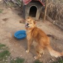 용진농장 이미지