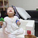 베베앙드레 이미지