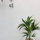 금호농원 이미지