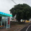 쌍둥이 게스트 하우스 이미지