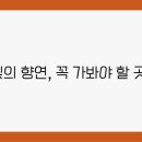 삼광사 이미지