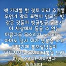 길 고양이 정토의 왕생 이야기 이미지