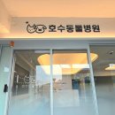 오남호수동물병원 이미지