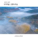 도리마을 숲 이미지